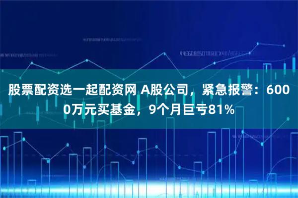 股票配资选一起配资网 A股公司，紧急报警：6000万元买基金，9个月巨亏81%